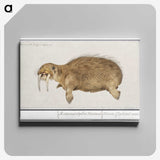 2-38_Anselmus-Boetius-de-Boodt_canvas