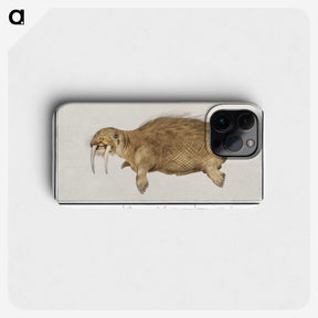 2-38_Anselmus-Boetius-de-Boodt_phone