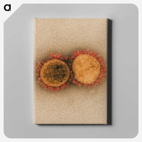2-38_COVID-19_canvas