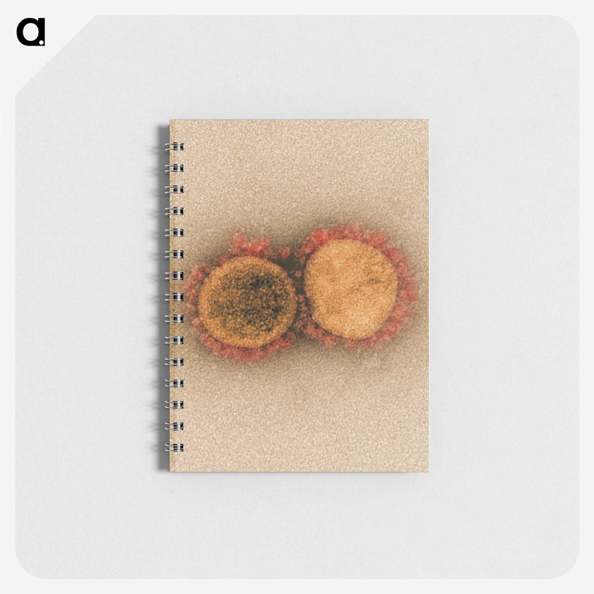 2-38_COVID-19_memo