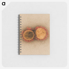 2-38_COVID-19_memo