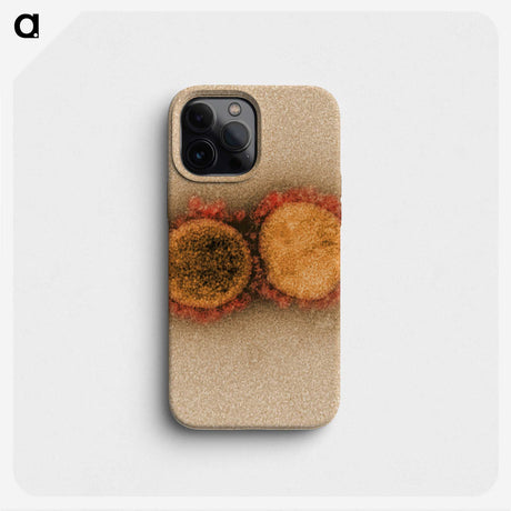 2-38_COVID-19_phone
