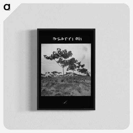 2-38_Dorothea-Lange_blk-crop