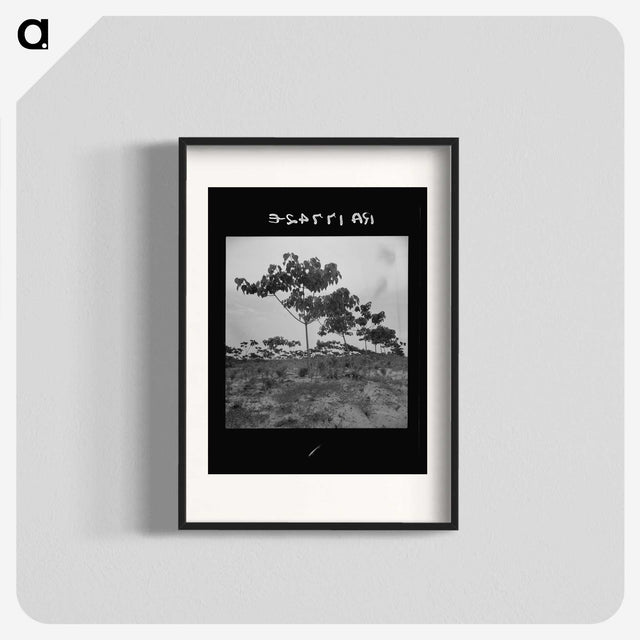 2-38_Dorothea-Lange_blk