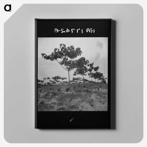 2-38_Dorothea-Lange_canvas