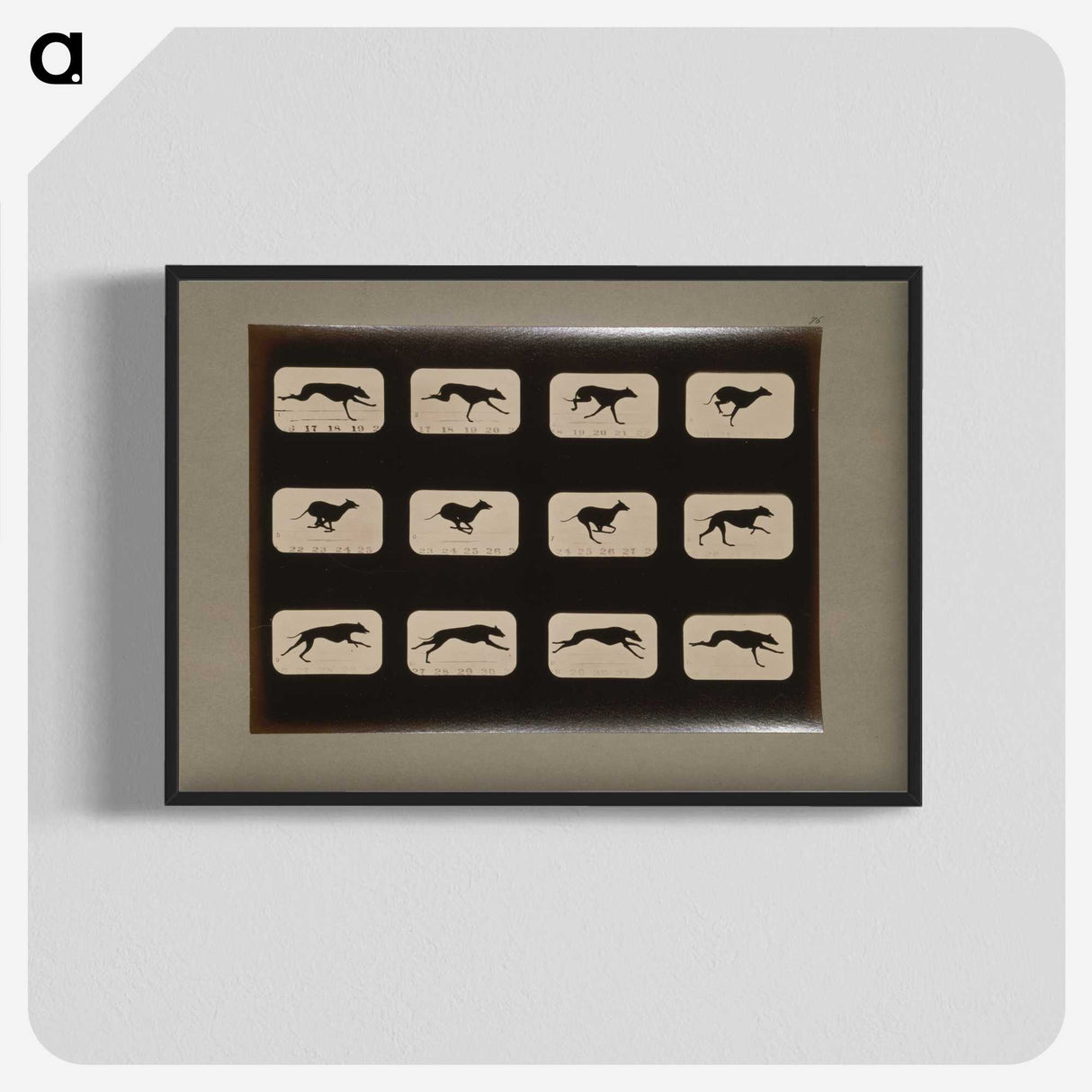 2-38_Eadweard-Muybridge_blk-crop