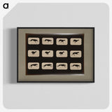 2-38_Eadweard-Muybridge_blk-crop