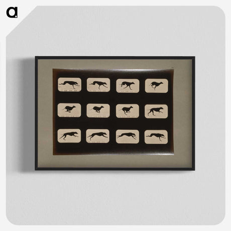 2-38_Eadweard-Muybridge_blk-crop