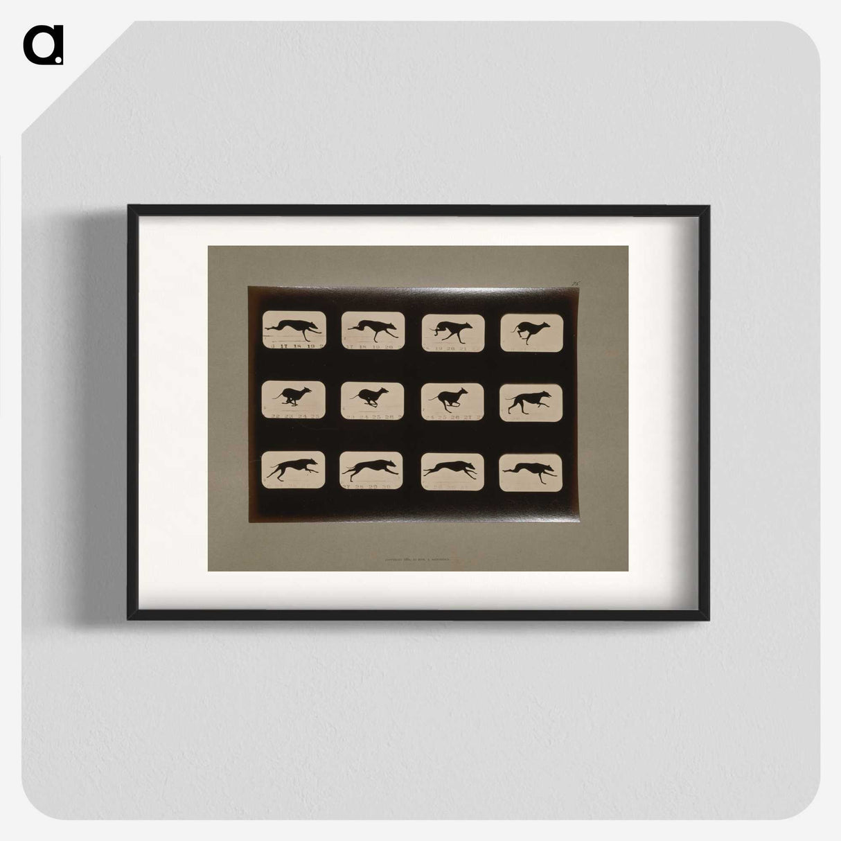 2-38_Eadweard-Muybridge_blk