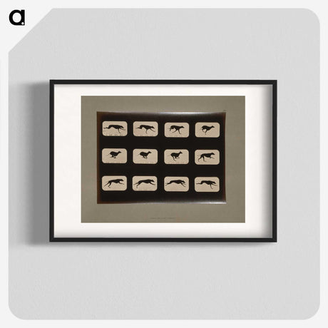 2-38_Eadweard-Muybridge_blk
