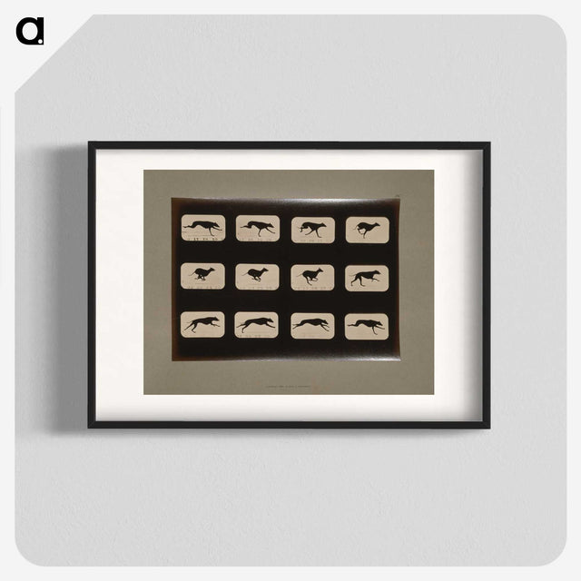 2-38_Eadweard-Muybridge_blk