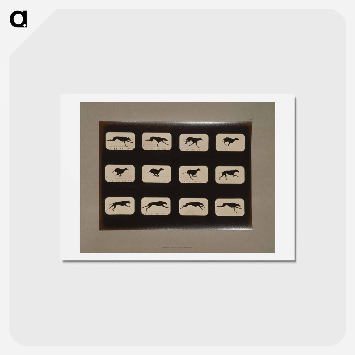 アートポストカード-Running Greyhound
 - エドワード マイブリッジ Postcard.