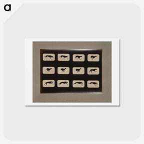 アートポストカード-Running Greyhound
 - エドワード マイブリッジ Postcard.