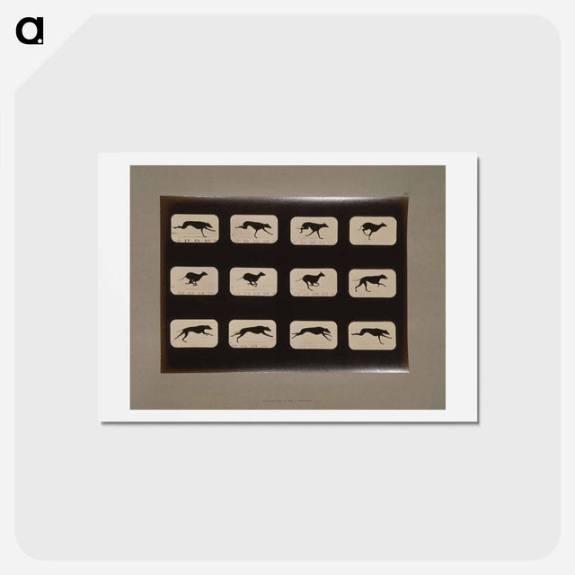 アートポストカード-Running Greyhound
 - エドワード マイブリッジ Postcard.