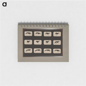 2-38_Eadweard-Muybridge_memo