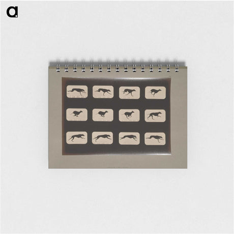 2-38_Eadweard-Muybridge_memo