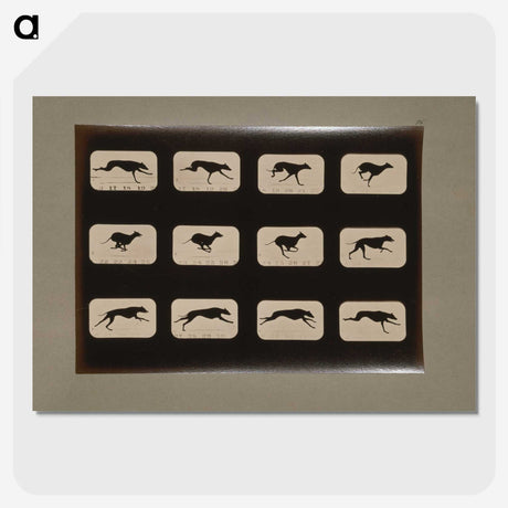 2-38_Eadweard-Muybridge_picture-crop
