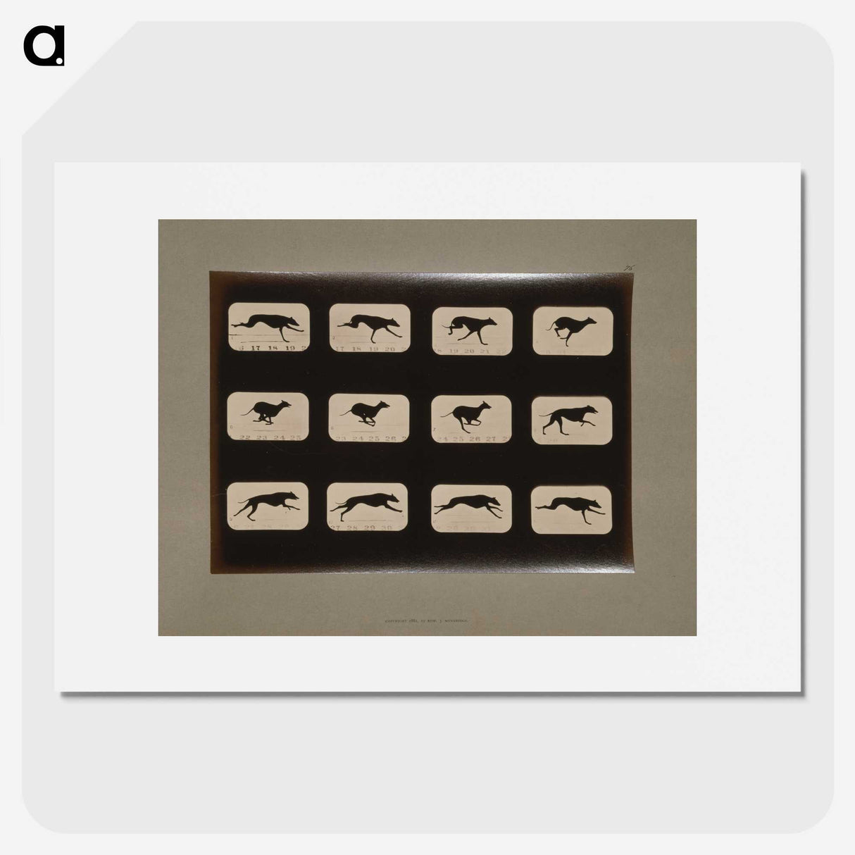 2-38_Eadweard-Muybridge_picture