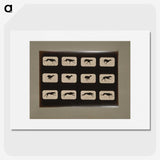 2-38_Eadweard-Muybridge_picture
