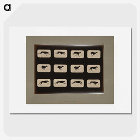 2-38_Eadweard-Muybridge_picture