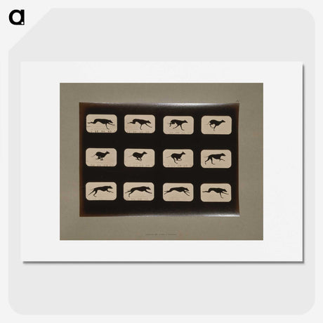 2-38_Eadweard-Muybridge_picture
