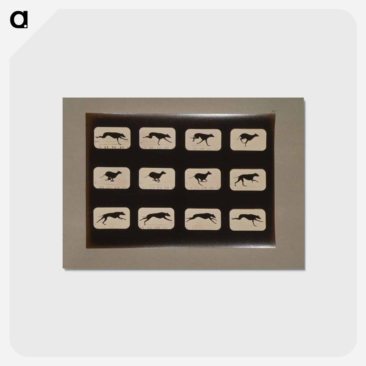 アートポストカード-Running Greyhound
 - エドワード マイブリッジ Postcard.