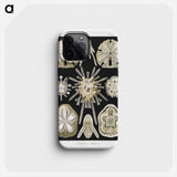 Echinidea–Igelsterne - エルンスト ヘッケル Phone Case.