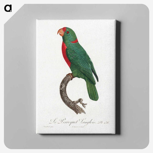 2-38_Francois-Levaillant_canvas