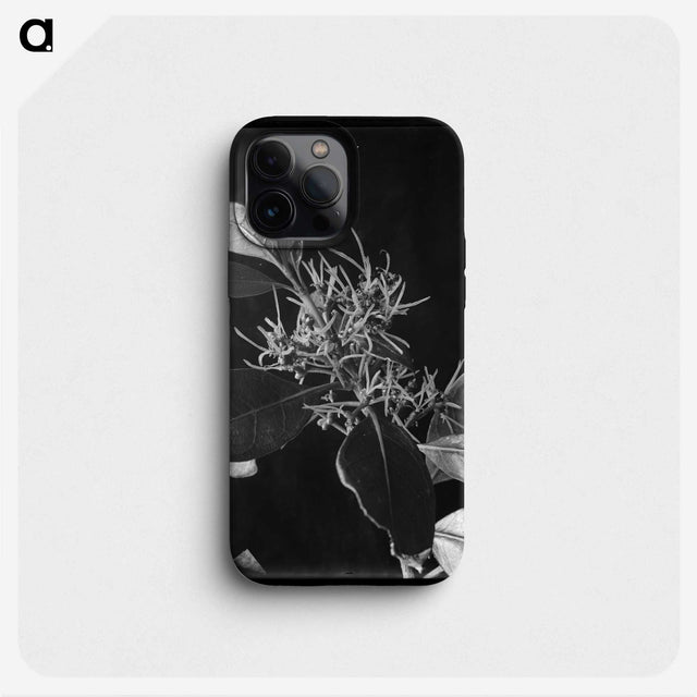 2-38_Frederick-Charles-Brockett_phone