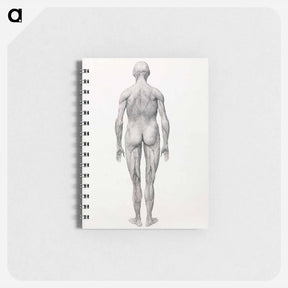 アートメモ帳-Human Figure, Posterior View, Partially Dissected
 - ジョージ スタッブス Memo.
