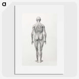 2-38_George-Stubbs_picture