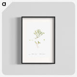 2-38_Histoire-des-Plantes-Grasses_blk