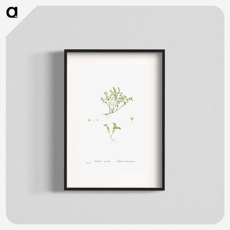 2-38_Histoire-des-Plantes-Grasses_blk