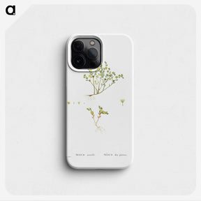 2-38_Histoire-des-Plantes-Grasses_phone