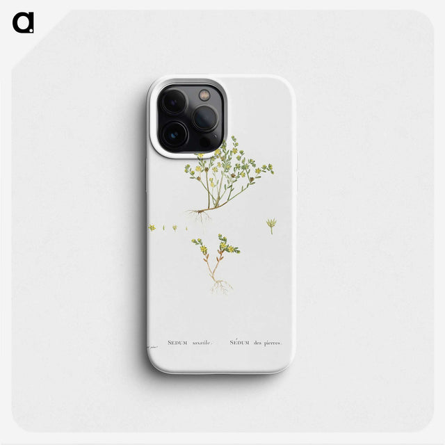 2-38_Histoire-des-Plantes-Grasses_phone