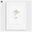 2-38_Histoire-des-Plantes-Grasses_picture