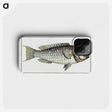 2-38_Ichtyologie-ou-Histoire-naturelle_phone