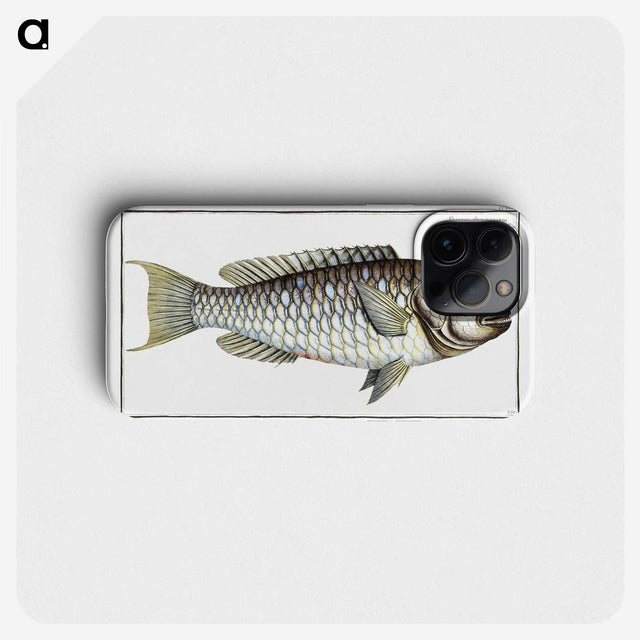 2-38_Ichtyologie-ou-Histoire-naturelle_phone