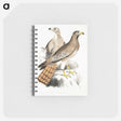2-38_Indian-Zoology_memo