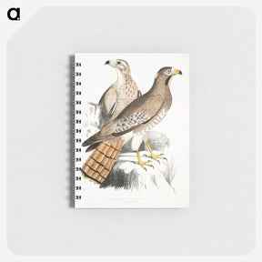 2-38_Indian-Zoology_memo
