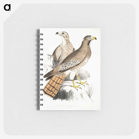 2-38_Indian-Zoology_memo