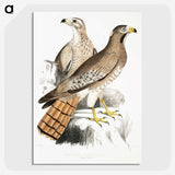 2-38_Indian-Zoology_picture-crop