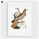 2-38_Indian-Zoology_picture
