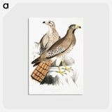 2-38_Indian-Zoology_postcard
