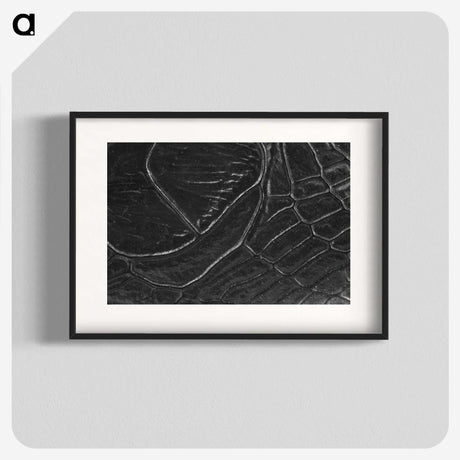 2-38_Insects-Unlocked-Project_blk