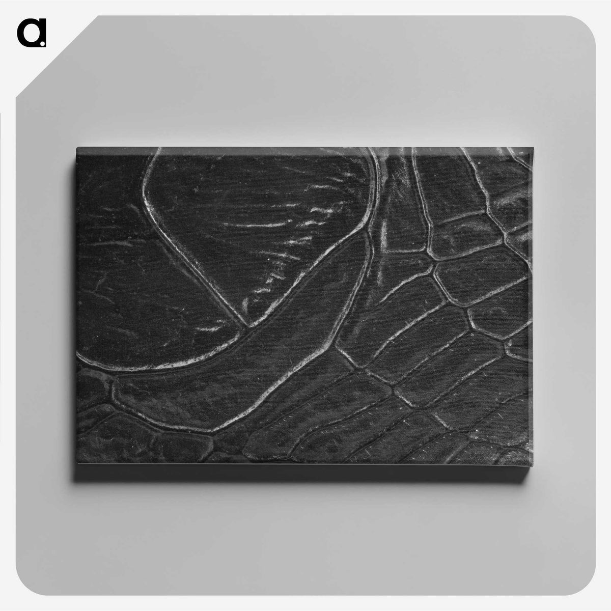 2-38_Insects-Unlocked-Project_canvas