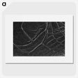 2-38_Insects-Unlocked-Project_picture