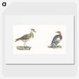 2-38_Johan-Teyler_picture
