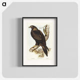 2-38_John-Gould_blk