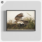 2-38_John-James-Audubon_blk-crop